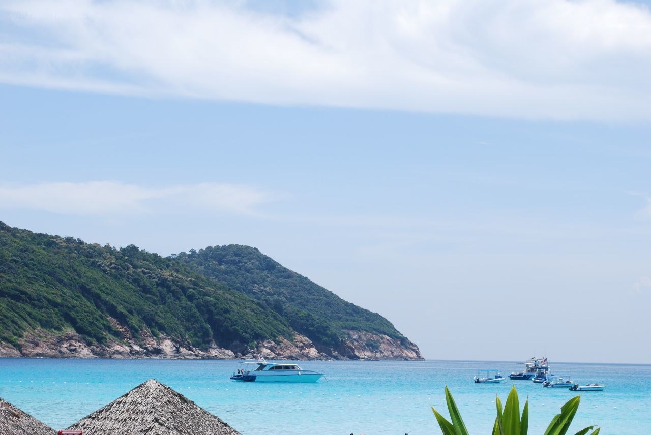 tropical island with boats