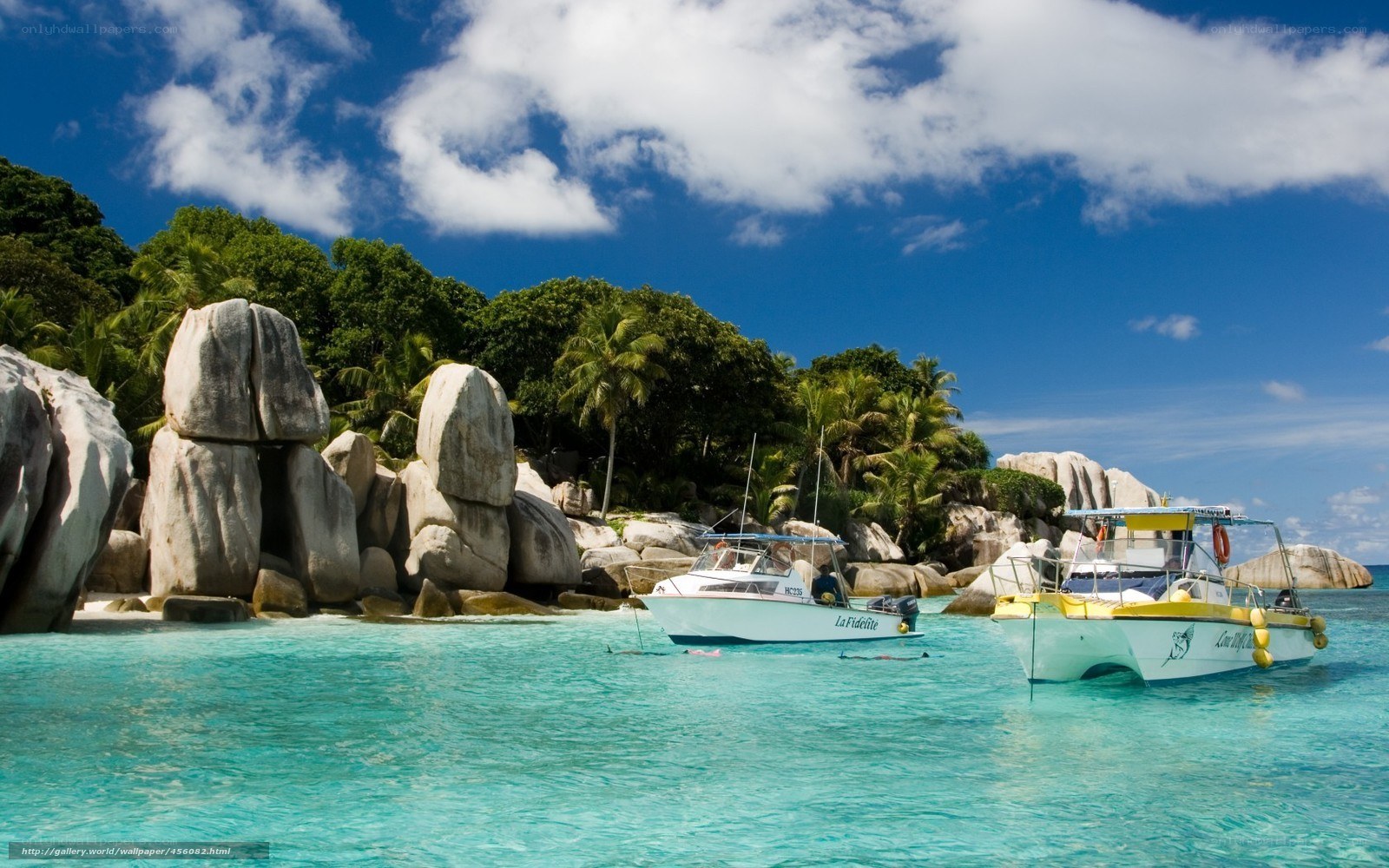 tropical island with boats