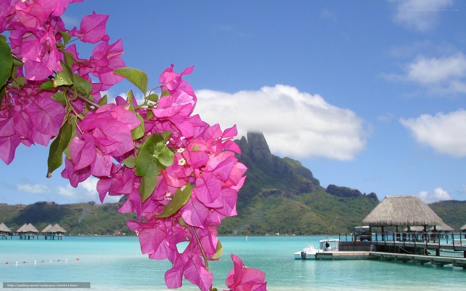 Tropical island with bougainvillea