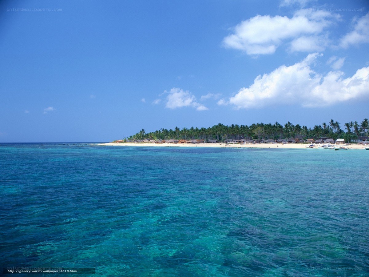 Tropical island with clear blue water