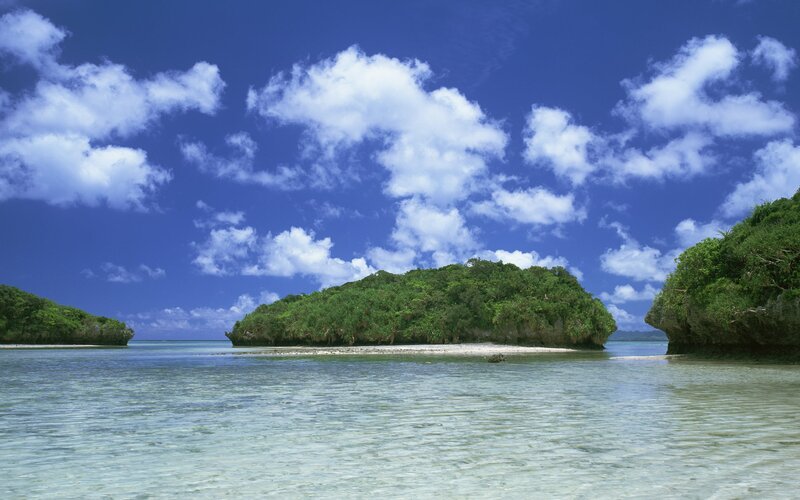 tropical island with clear water