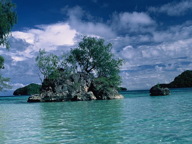 tropical island with clear water