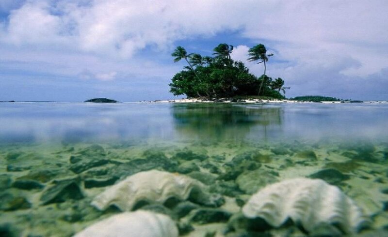 tropical island with clear water