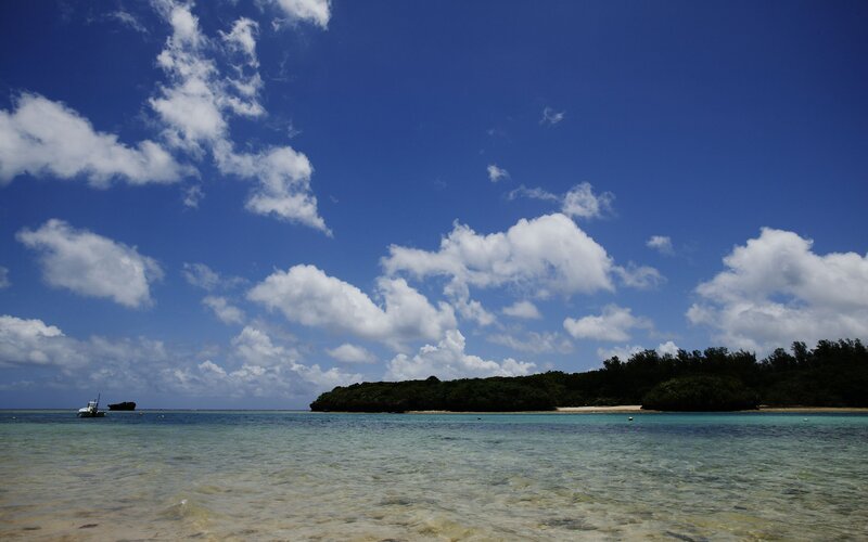 tropical island with clear water