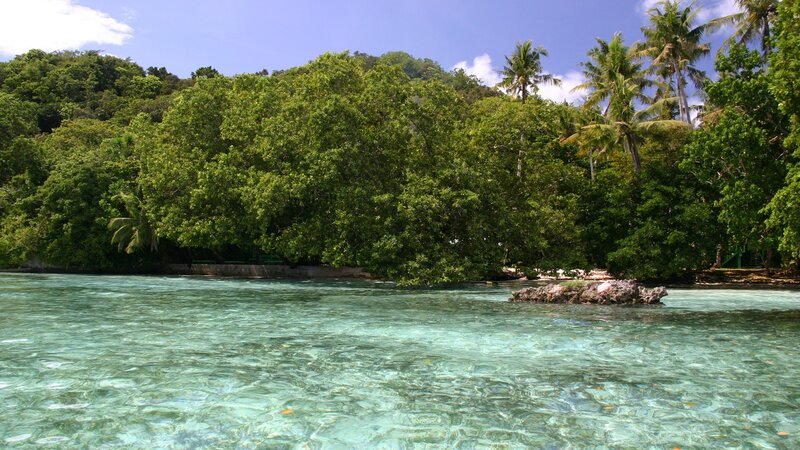 tropical island with clear water