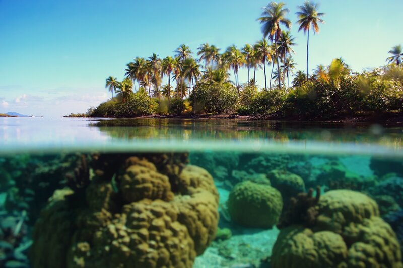 Tropical Island with Coral — Blue, Serene