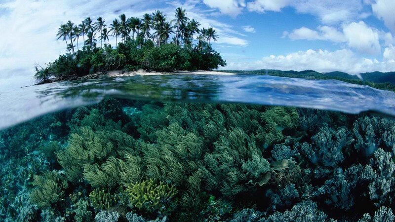 tropical island with coral reef