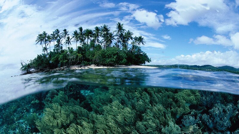 tropical island with coral reef