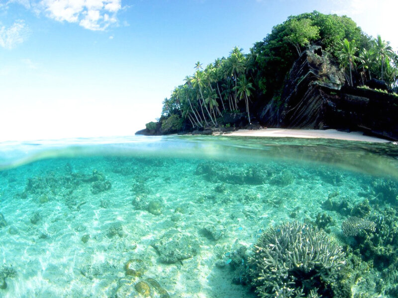 tropical island with coral reef