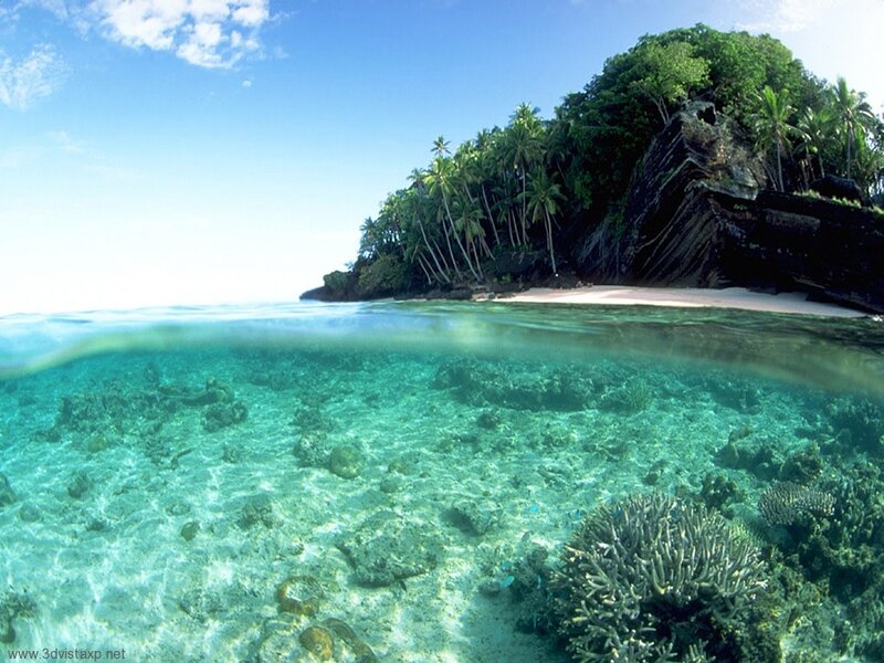 tropical island with coral reef