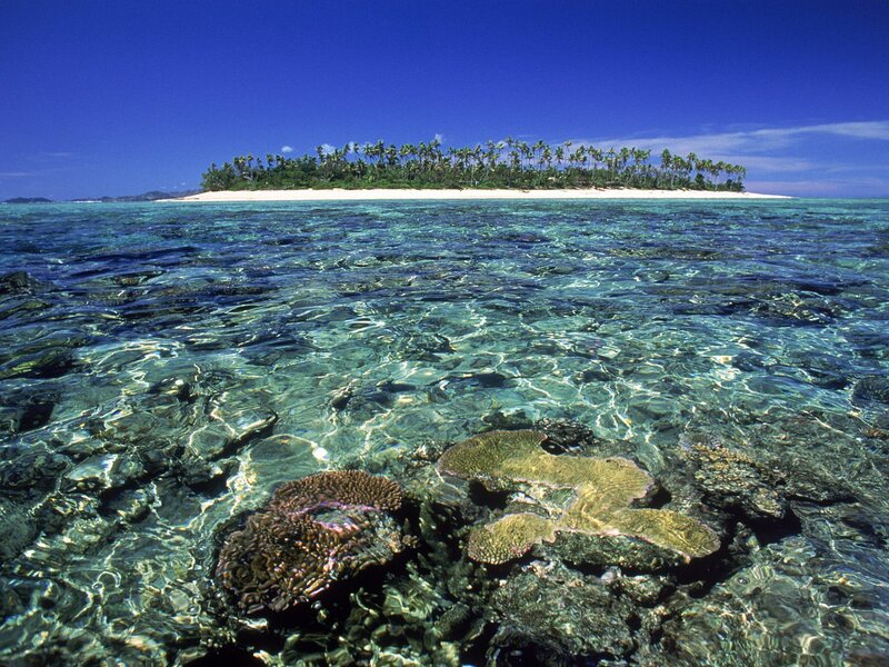 Tropical island with coral reef