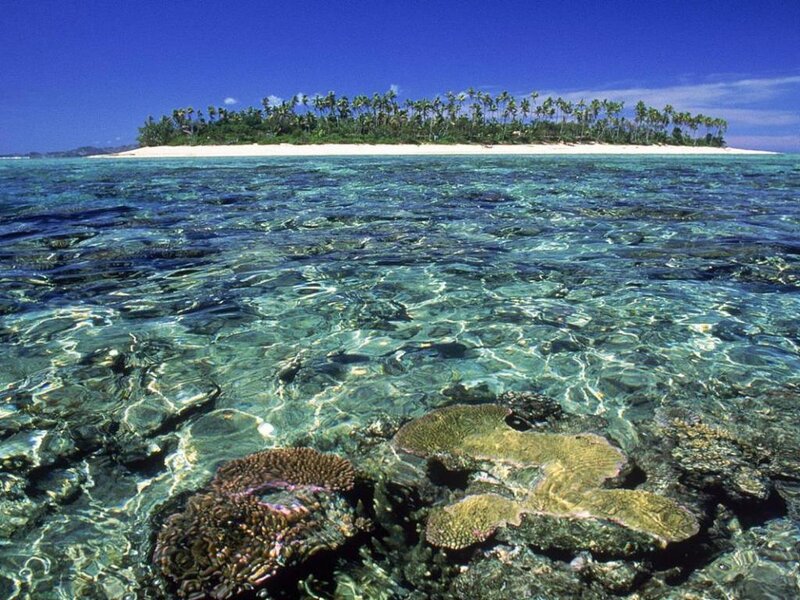 tropical island with coral reef