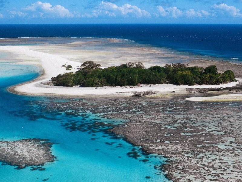 tropical island with coral reef