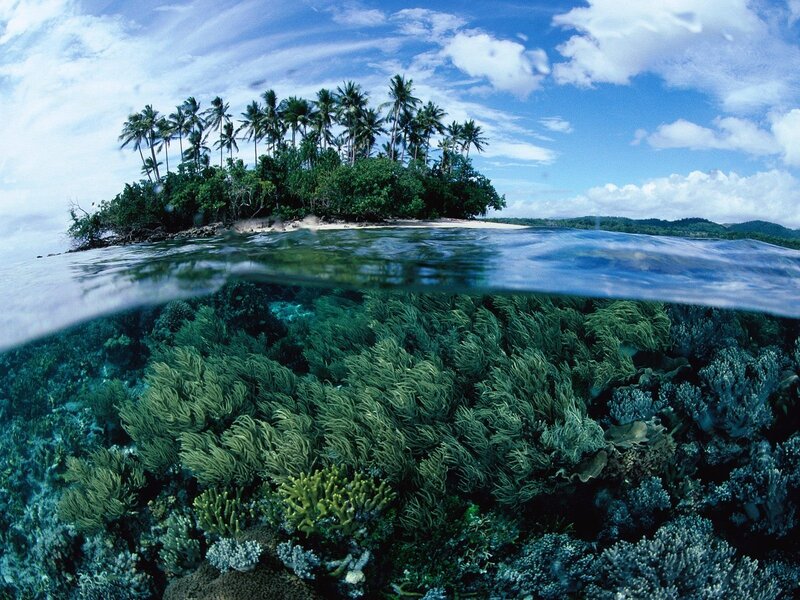 tropical island with coral reef