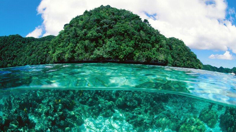 tropical island with coral reef