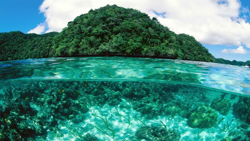 tropical island with coral reef