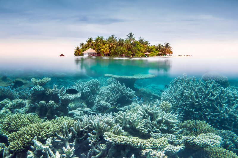 Tropical Island with Coral Reef — Blue, Serene, Afternoon, Photograph, Fish