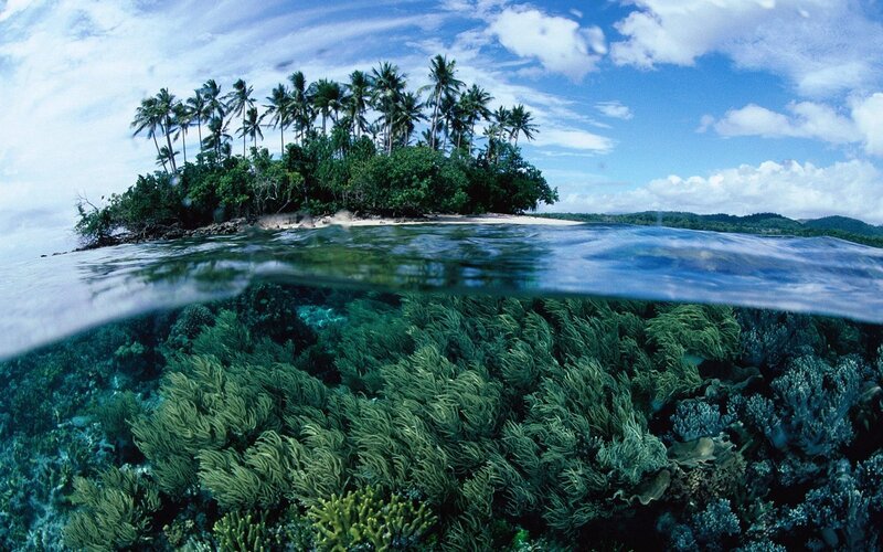 Tropical Island with Coral Reef — Blue, Serene, Afternoon, Photograph