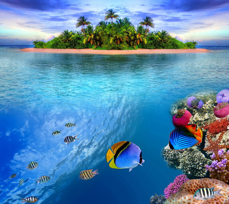 Tropical Island with Coral Reef — Blue, Serene, Sunset