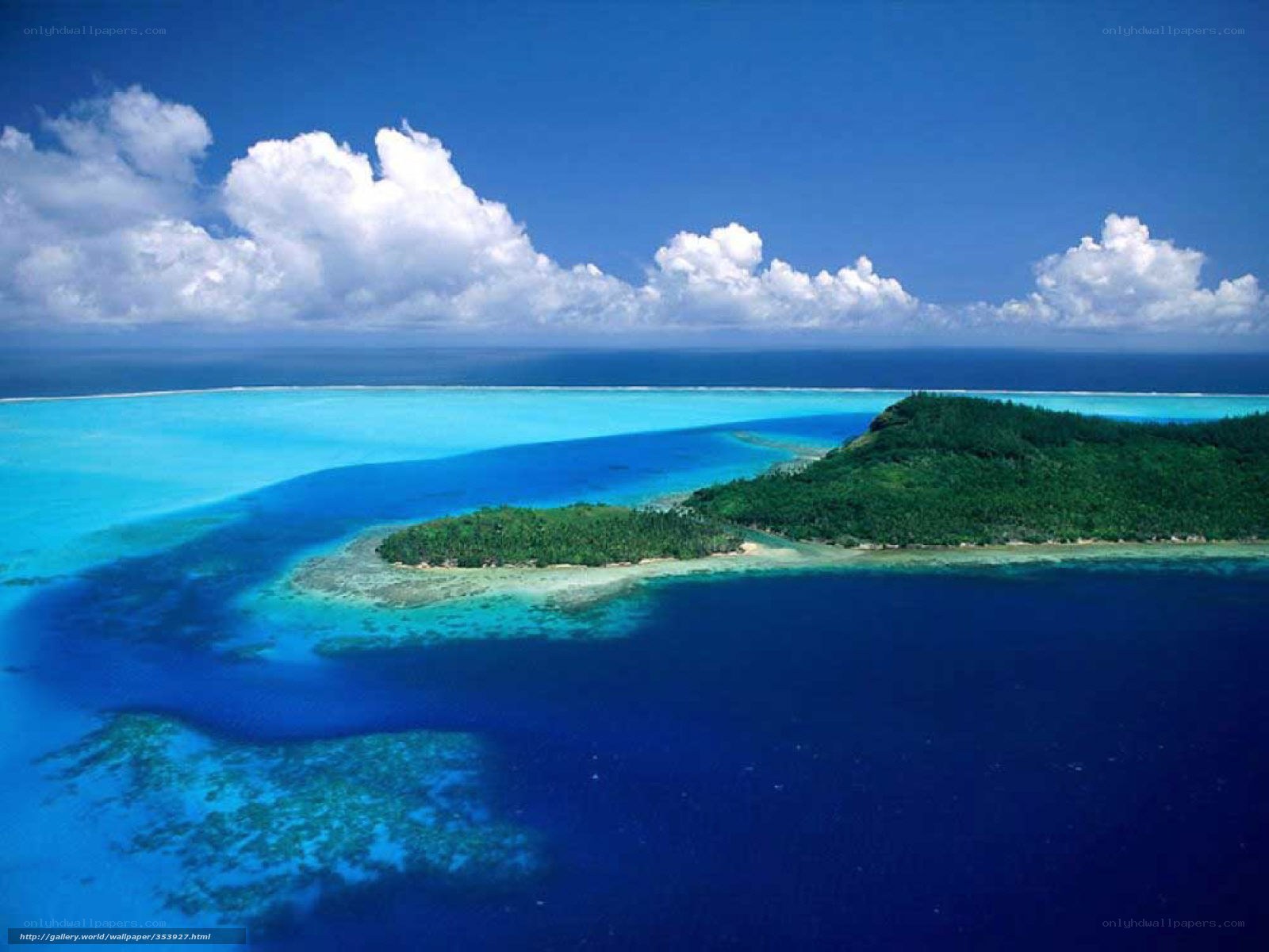tropical island with coral reef
