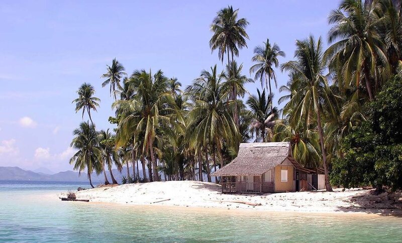tropical island with hut and palm trees