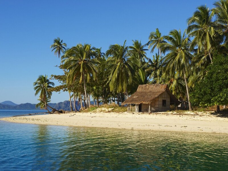 Tropical island with hut and palm trees