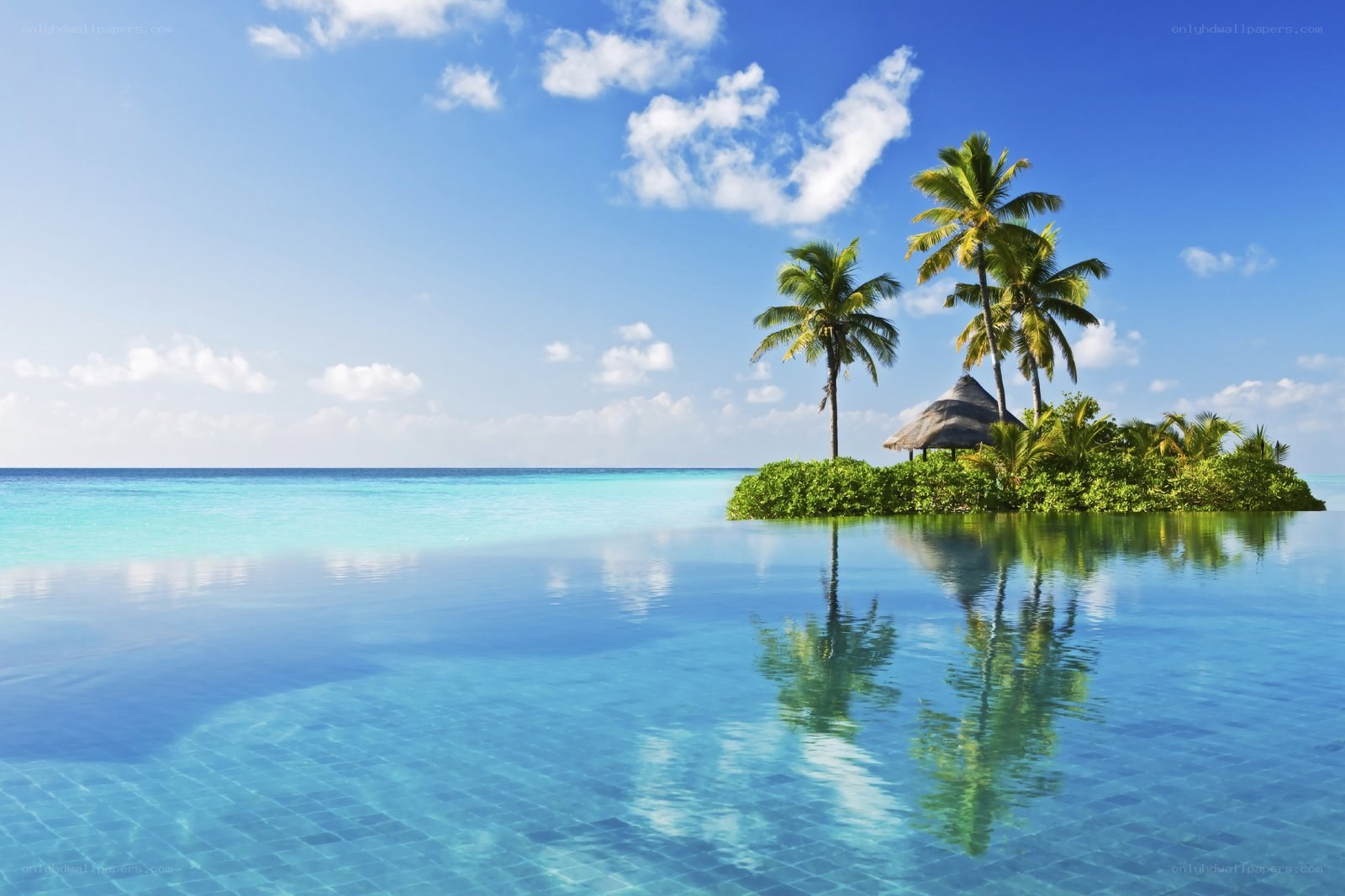 tropical island with infinity pool