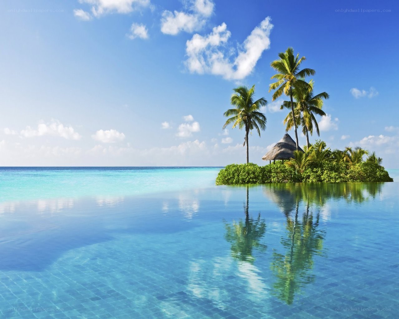 Tropical island with infinity pool