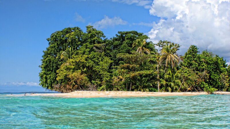 tropical island with lush greenery