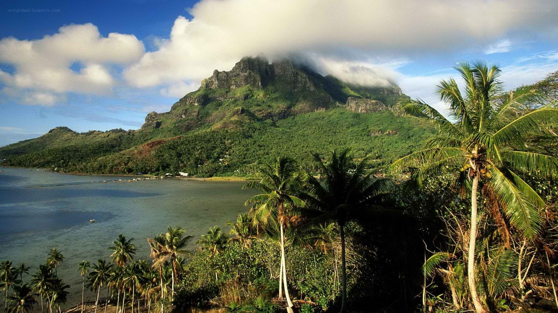 tropical island with mountain view