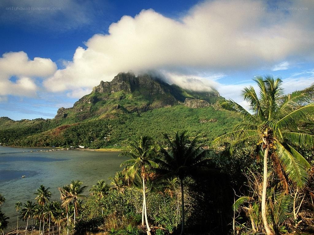 tropical island with mountain