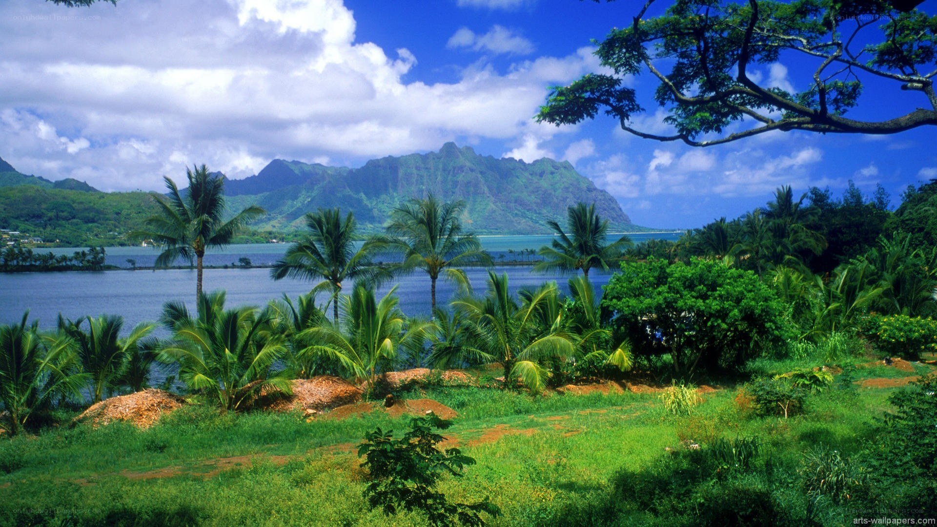 tropical island with mountains
