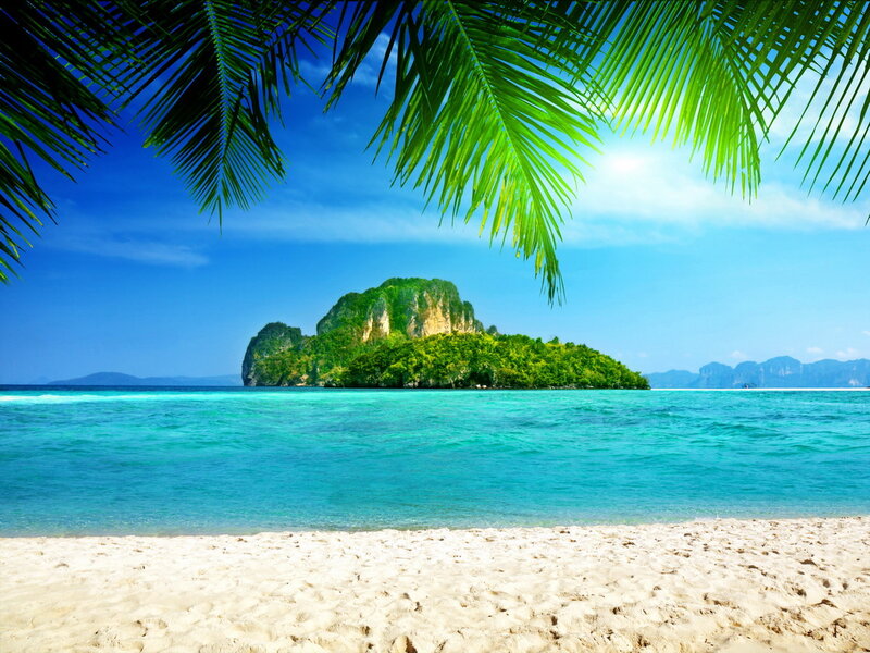 Tropical Island with Palm Fronds