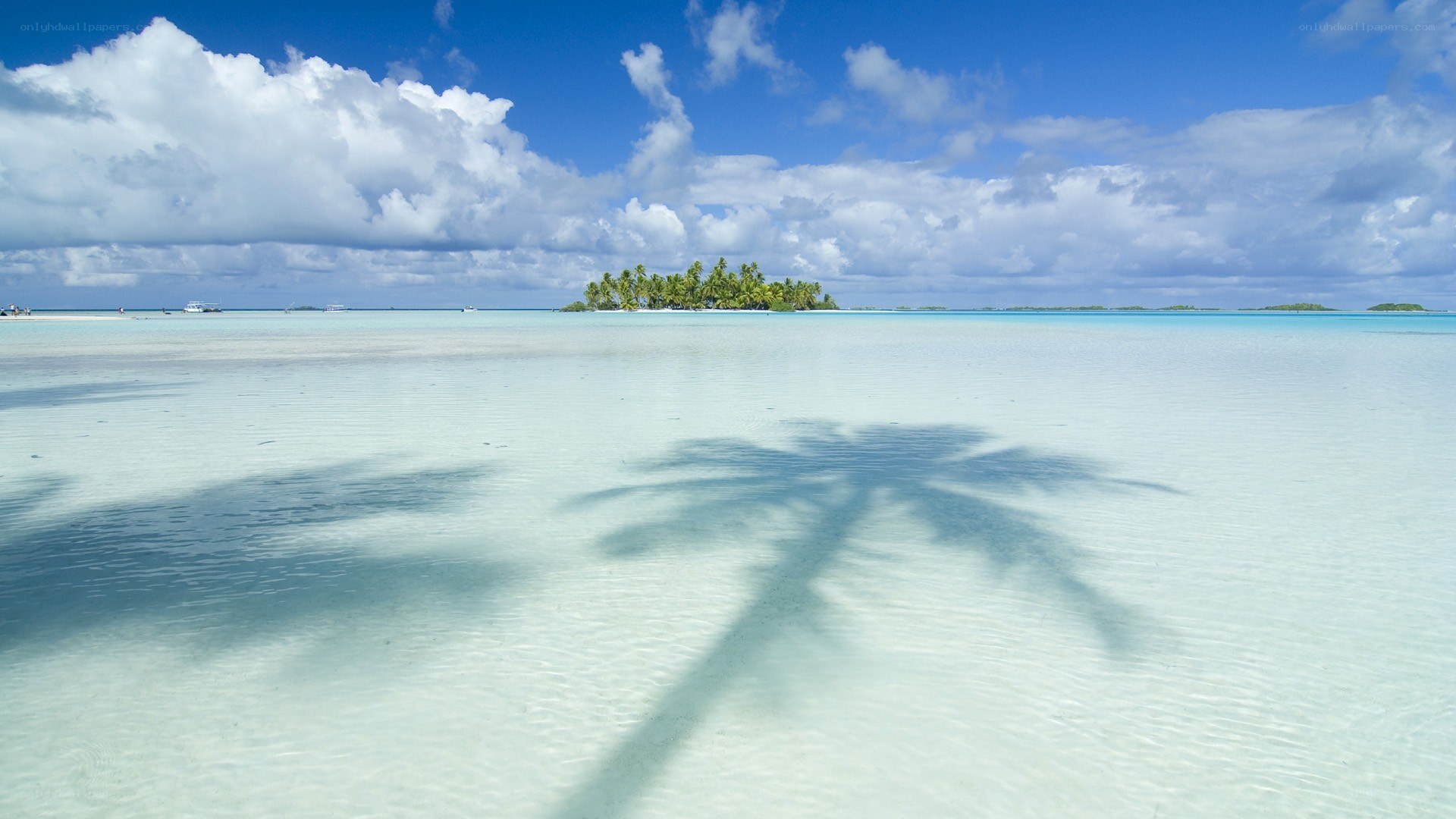 tropical island with palm shadow