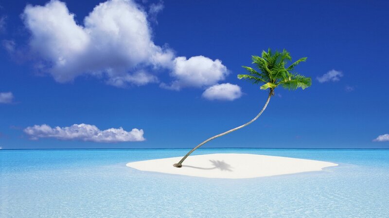 tropical island with palm tree