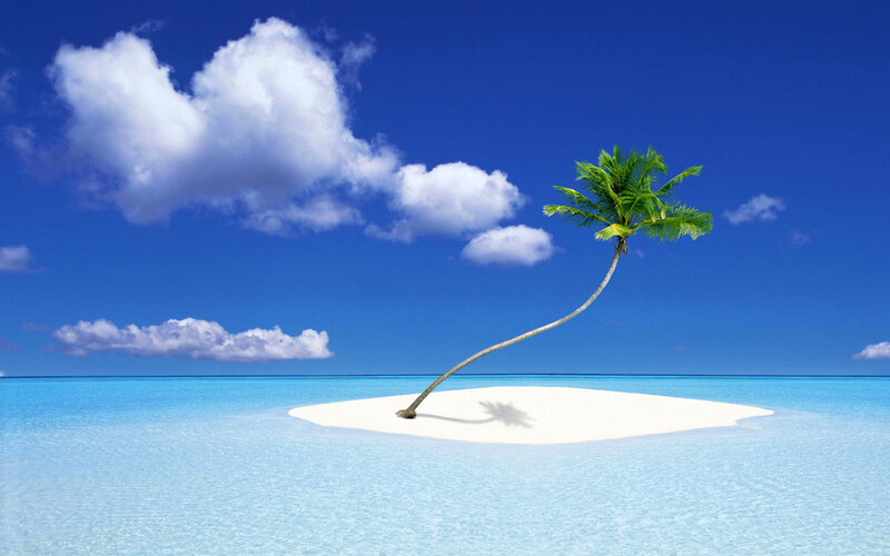 tropical island with palm tree