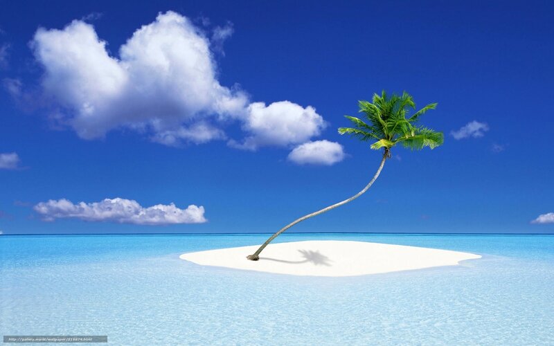 tropical island with palm tree