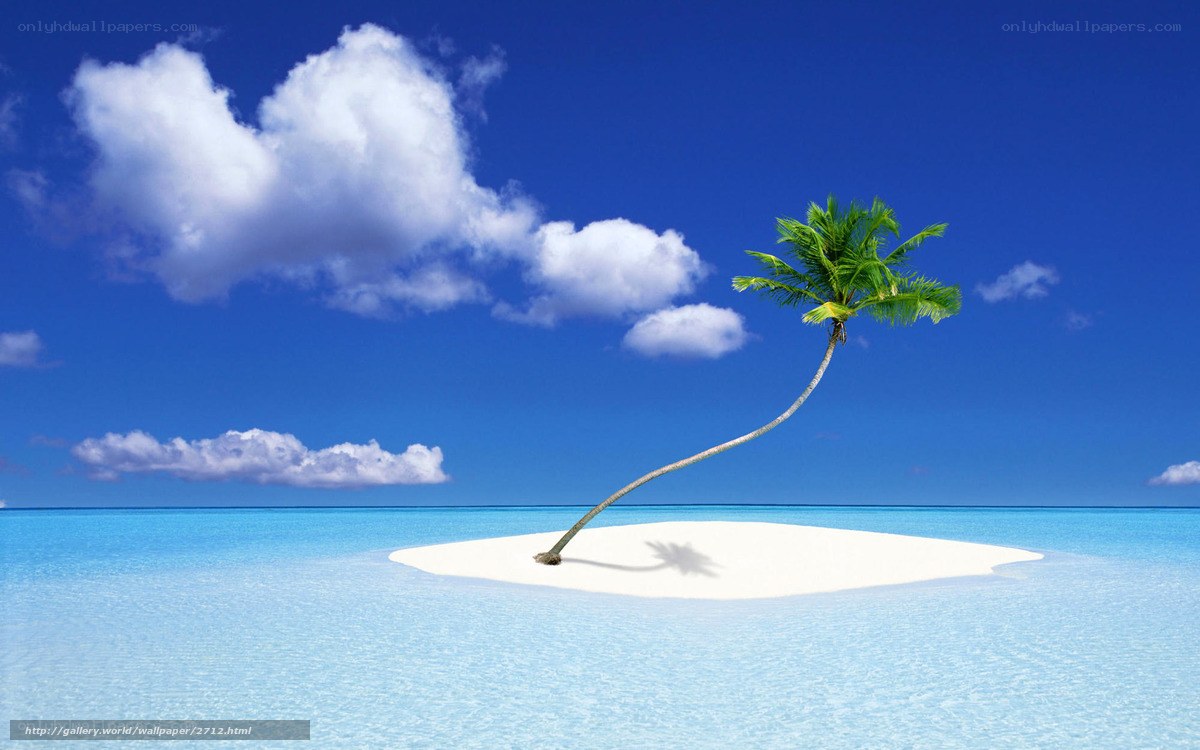 tropical island with palm tree