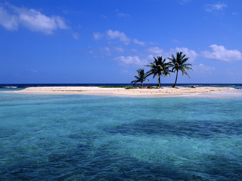 tropical island with palm trees