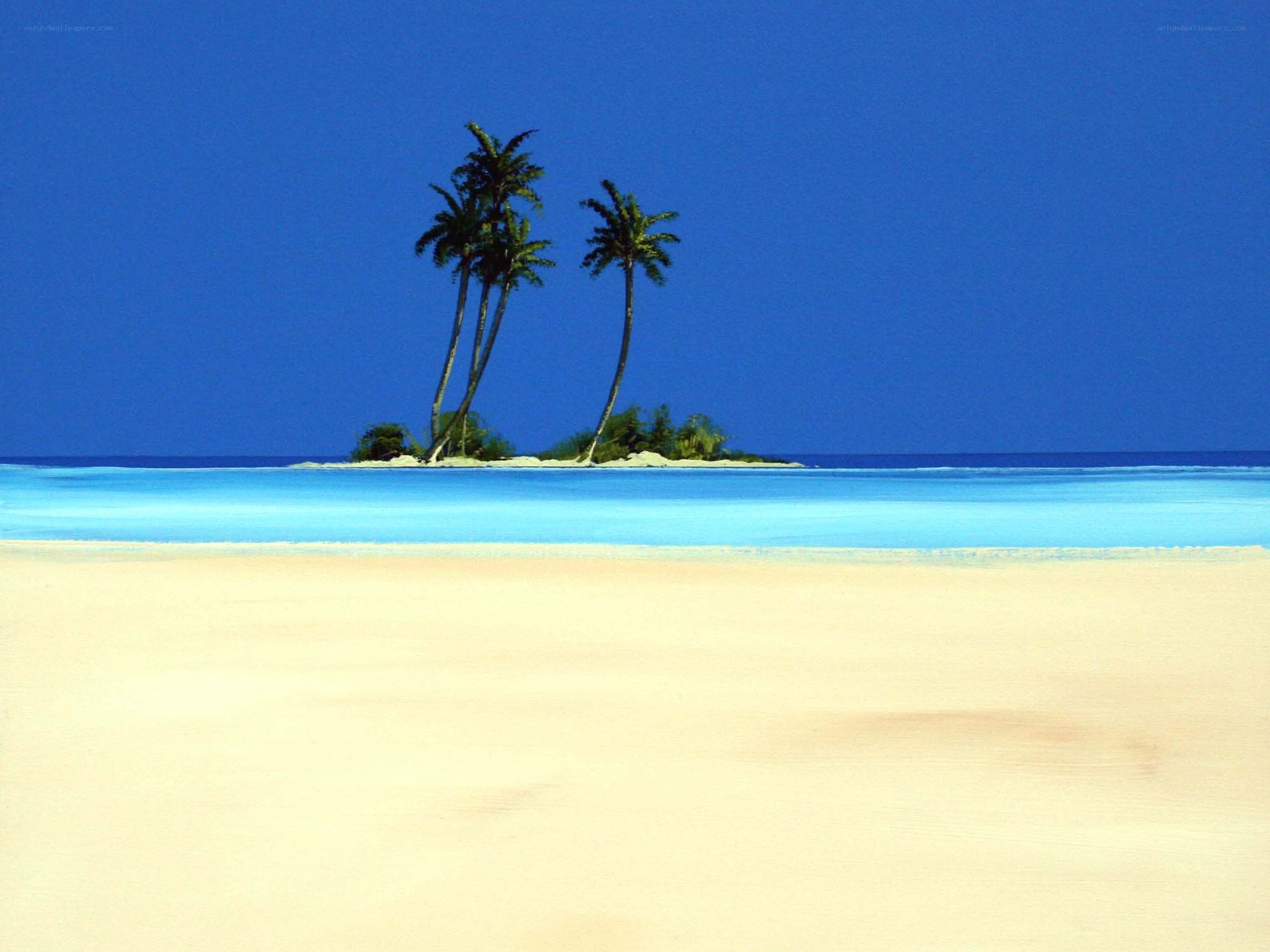 tropical island with palm trees