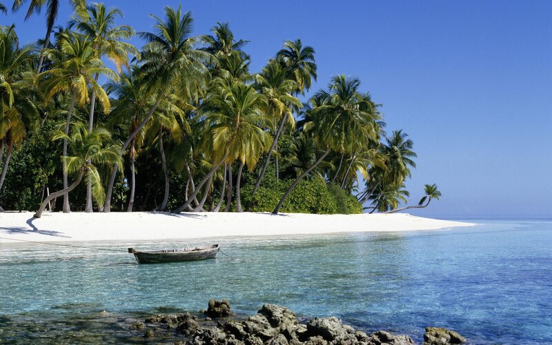 tropical island with palm trees