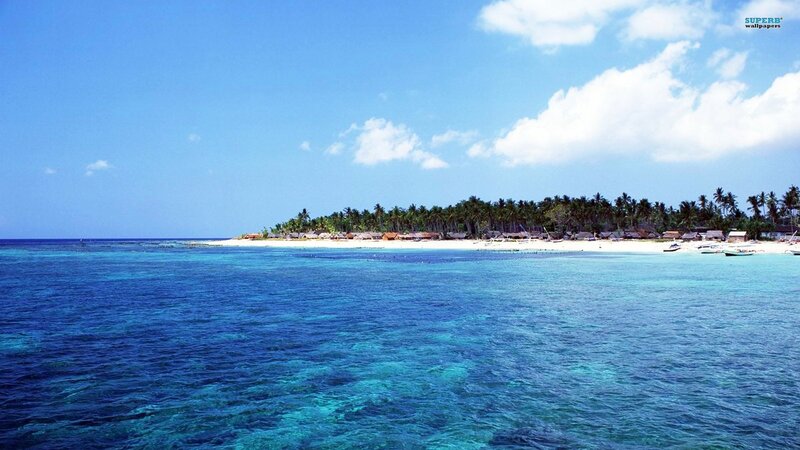tropical island with palm trees