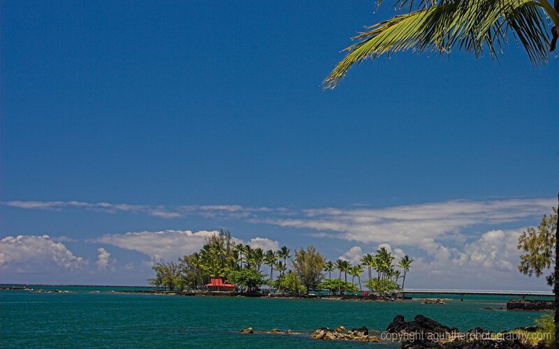 tropical island with palm trees