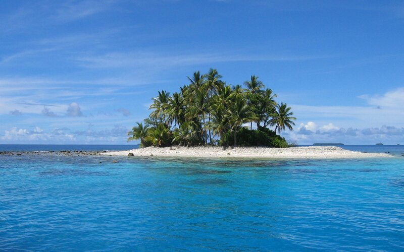 tropical island with palm trees