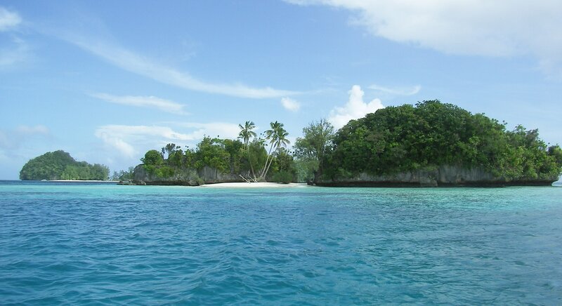 tropical island with palm trees