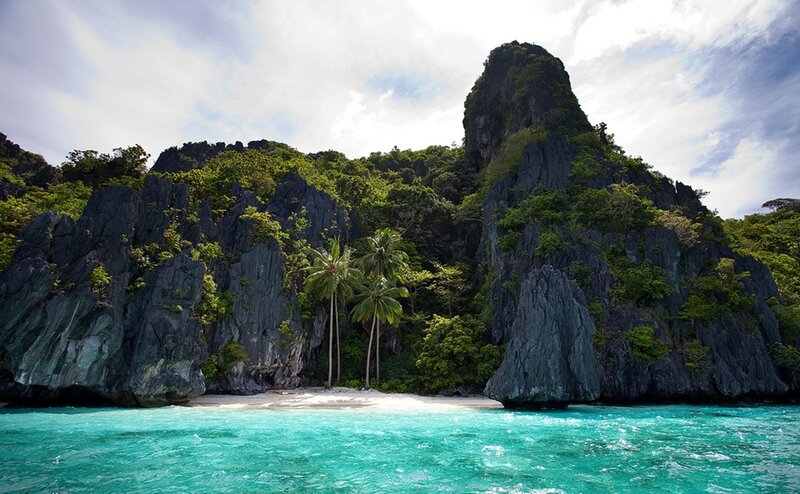 tropical island with palm trees