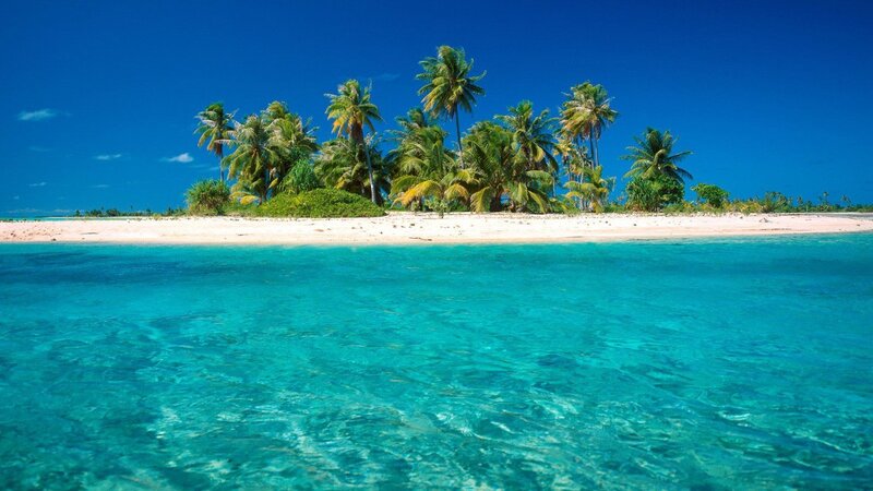 tropical island with palm trees