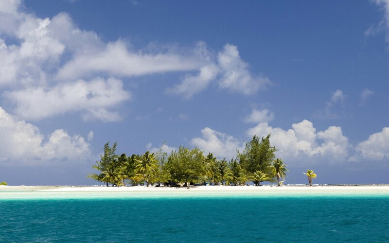 tropical island with palm trees