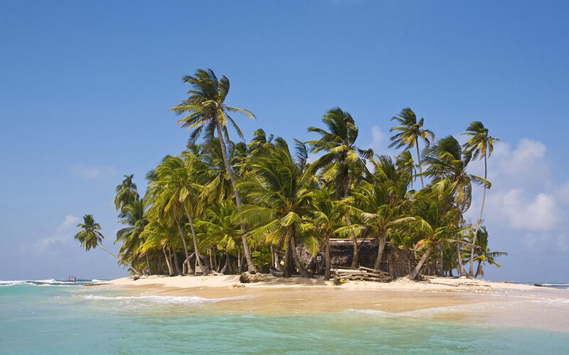 Tropical island with palm trees