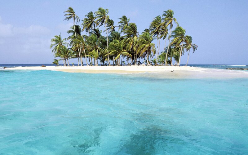 tropical island with palm trees